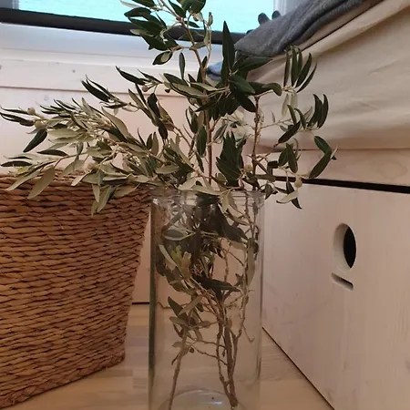 Eco Buqez 34 Драге