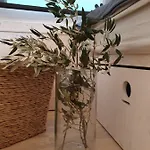 Eco Buqez 34 Drage