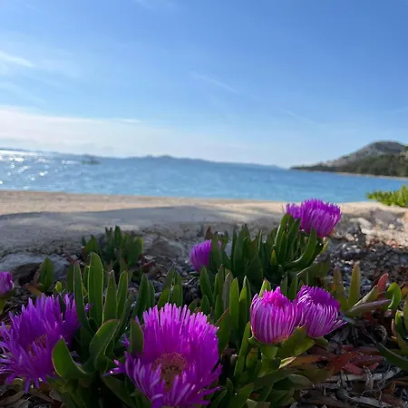 Eco Buqez 34 * Drage